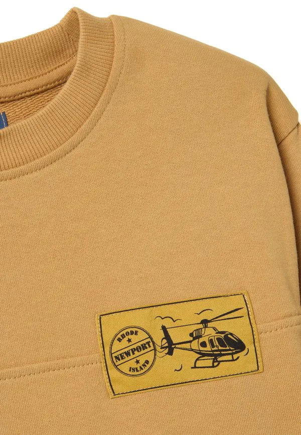 Толстовка оверсайз с круглым вырезом Ovs, Light Tobacco Brown — фото 3