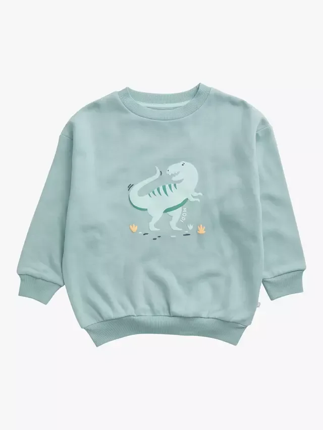 Толстовка большого размера с изображением детеныша динозавра, Динозавр MORI