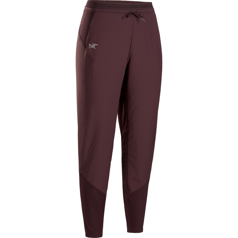 

Женские утепленные брюки Norvan Arcteryx, фиолетовый