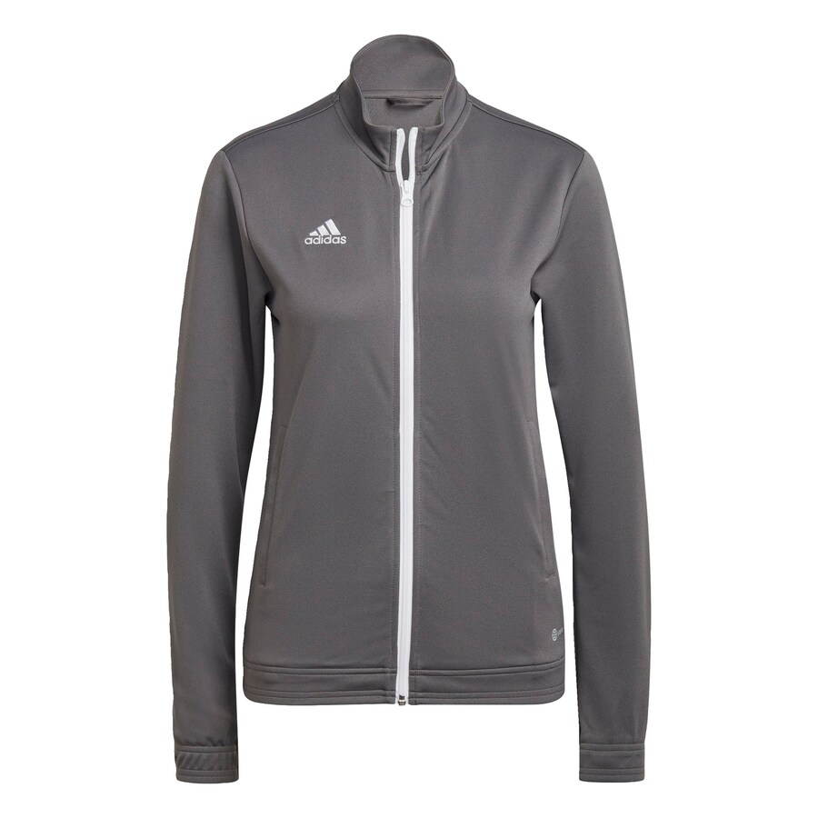 

Спортивная толстовка с капюшоном на молнии ADIDAS PERFORMANCE Entrada 22, серый