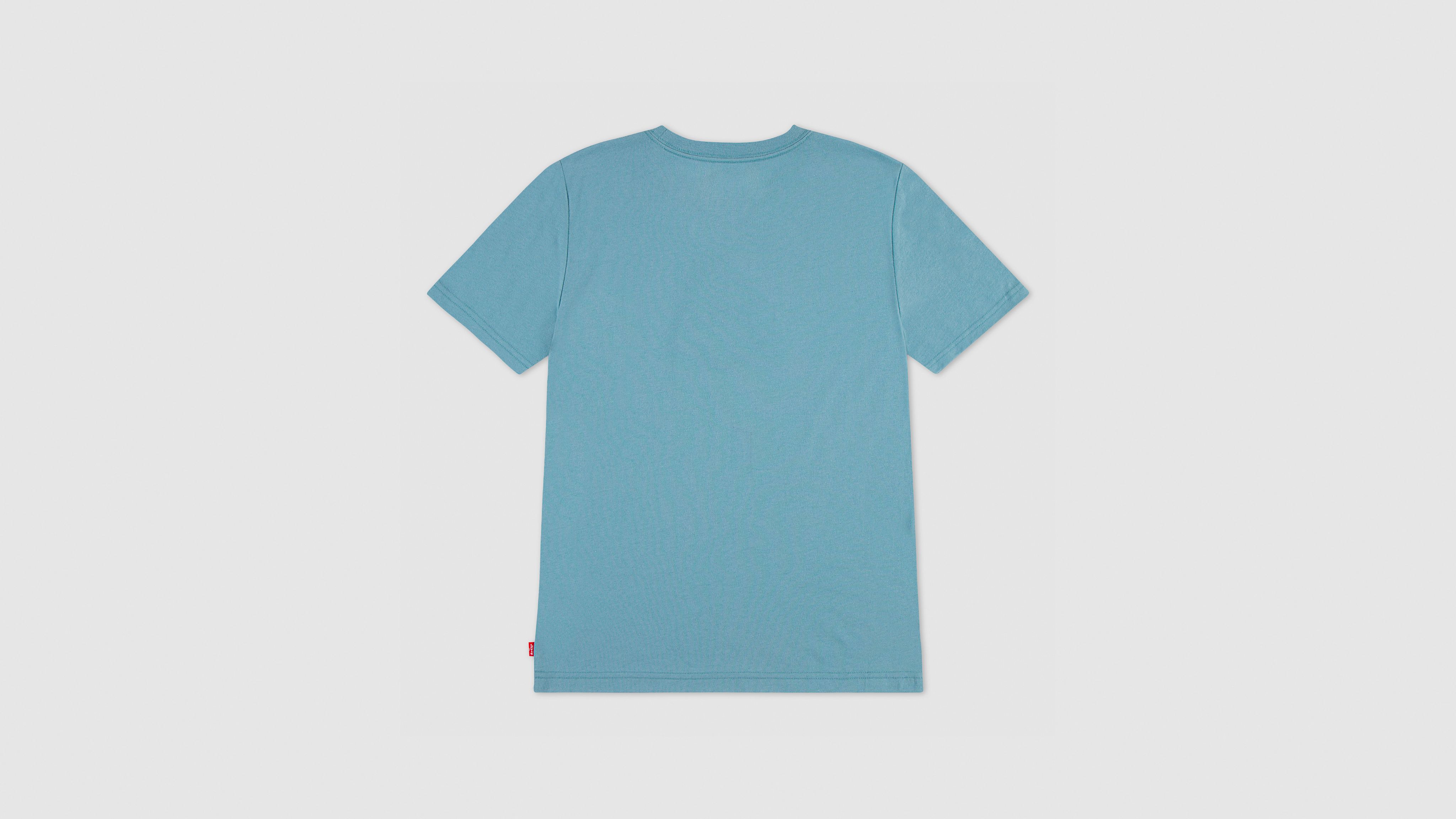Футболка Bucking Batwing Big Boys S-xl Levi's, Levi'S Stone Blue - Green — фото 2