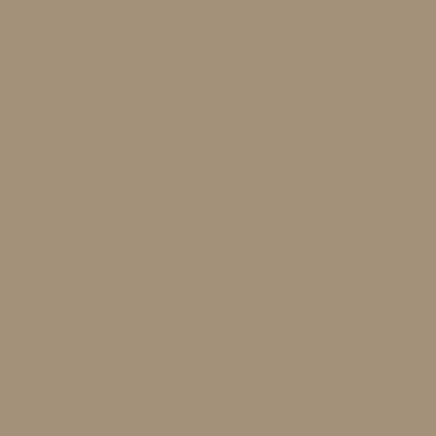 

Песок армии США FS 30277, Paints - Browns, Blacks, Whites, & Greys (Mission Models)