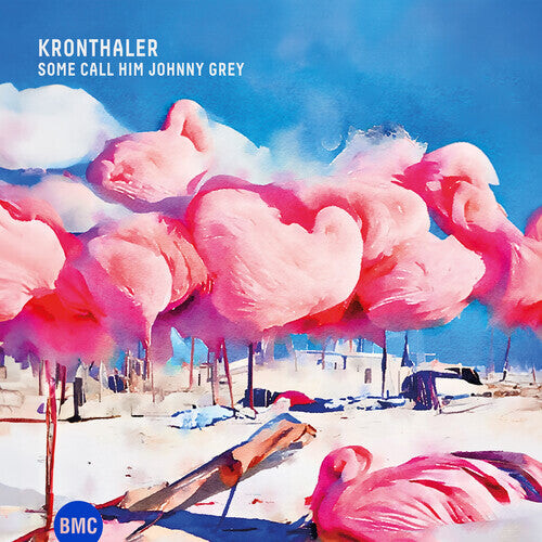 

CD диск Kronthaler: Some Call Him Johnny Gray