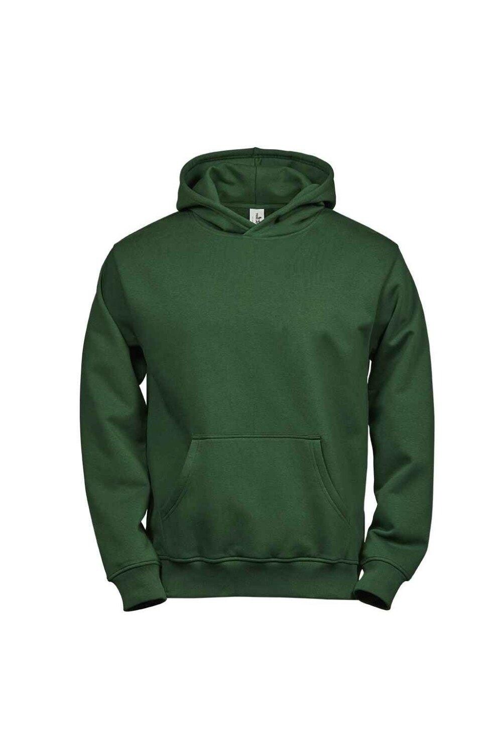 

Толстовка с капюшоном TEE JAYS, зеленый