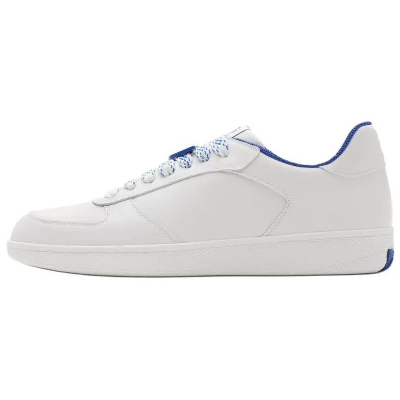 

Кроссовки Burberry Skateboarding Shoes Men Low-top White/Blue, белый/синий
