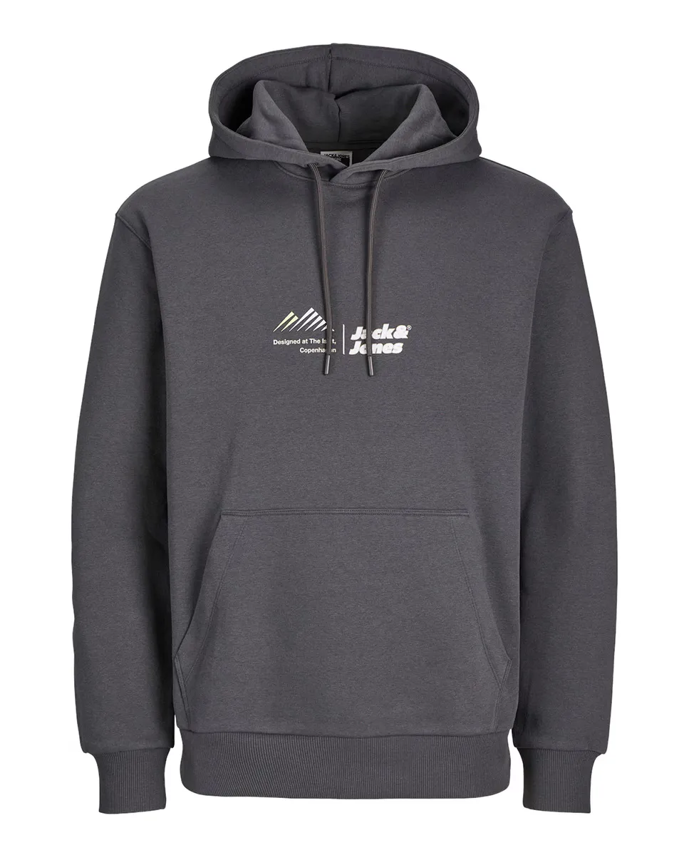 

Мужская толстовка с длинными рукавами и вышивкой спереди Jack & Jones, серый