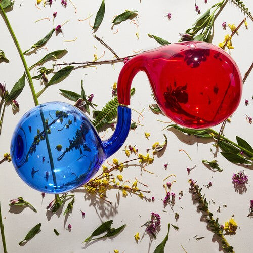 

Виниловая пластинка Dirty Projectors: Lamp Lit Prose