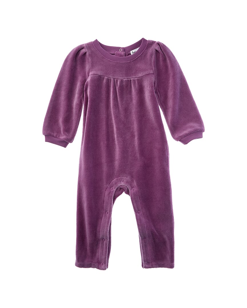 

Великолепный нефритовый велюровый боди Splendid, фиолетовый