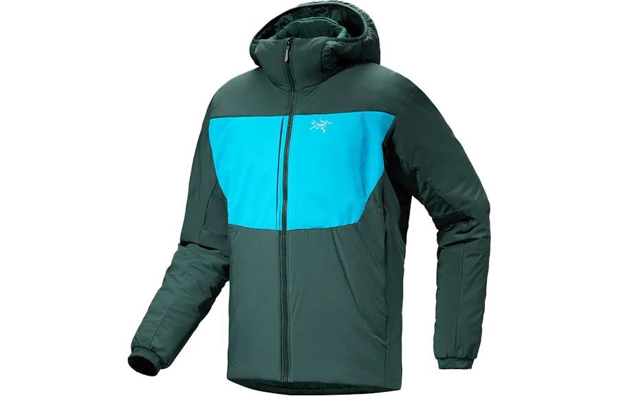 Куртка PROTON HEAVEYWEIGHT с капюшоном для мужчин Arcteryx, Pale Green/Tetra Blue/Pytheas/Blue Tetra