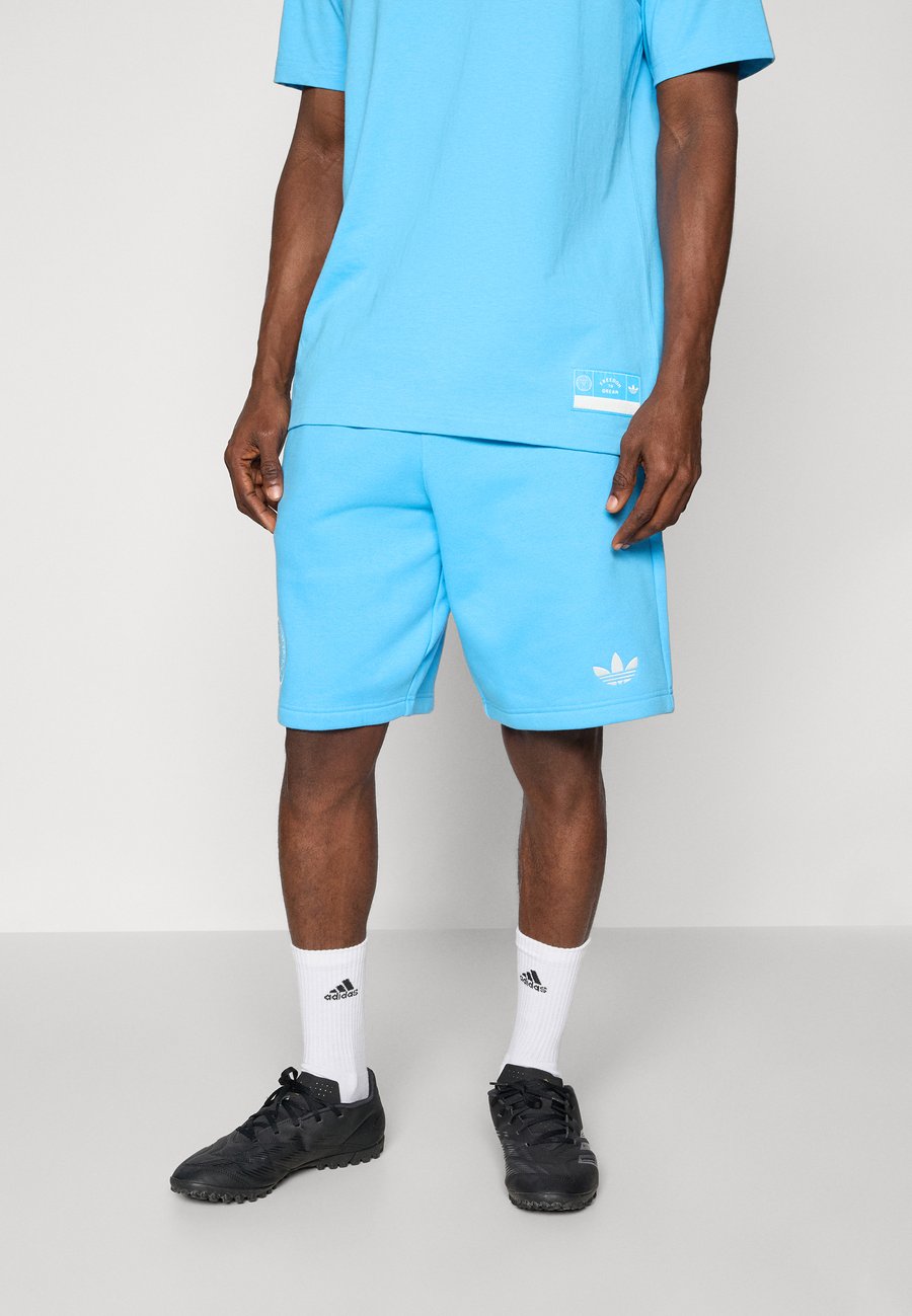 

Спортивные шорты Adidas Originals INTER MIAMI CF ORIGINALS VARSITY TRAVEL SHORTS, Semi Blue Burst White Tint/Blue