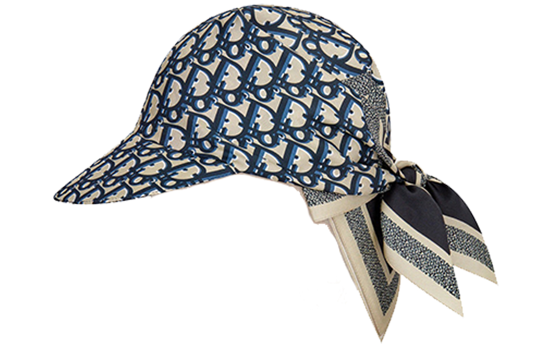 

Бейсболка Mulberry Silk для женщин DIOR, синий