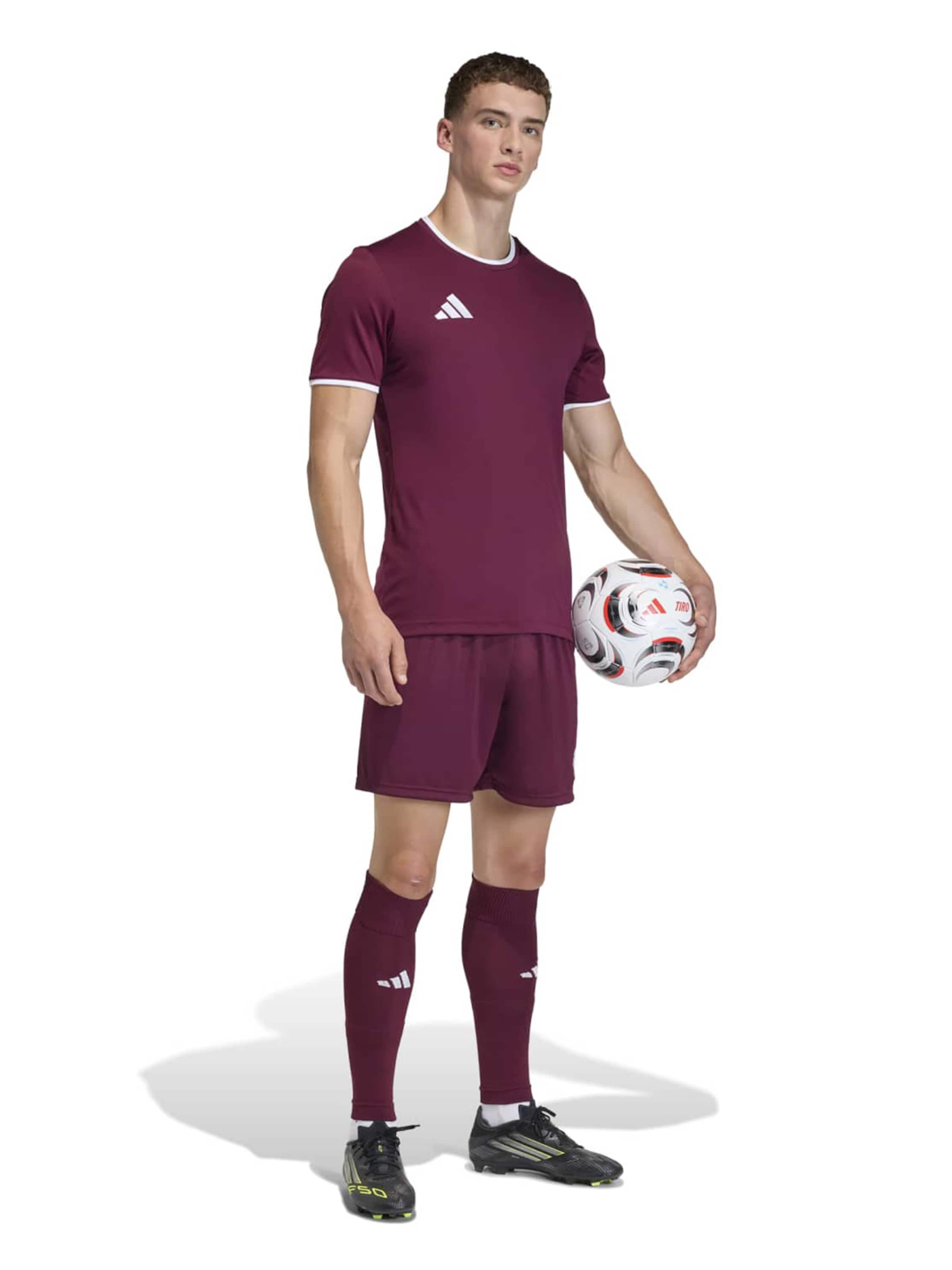 Adidas Performance Футболка Performance 'ENT26' в цвете бургунди — фото 4