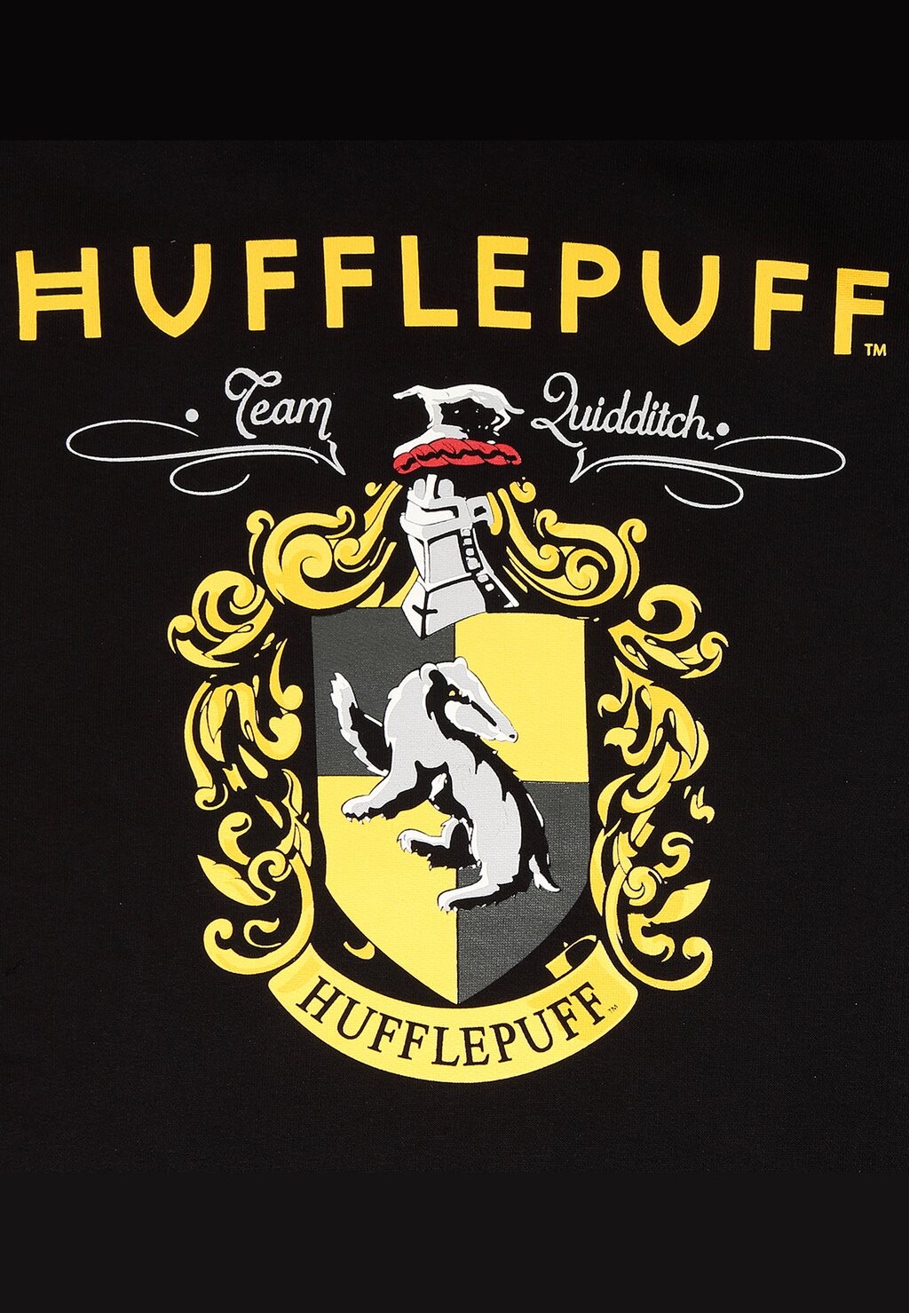 

Толстовка с капюшоном HARRY POTTER PROPERTY OF HUFFLEPUFF Henry Tiger, черный