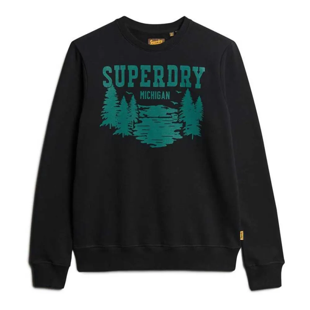 

Толстовка Superdry Lo-Fi Outdoors Graphic, черный