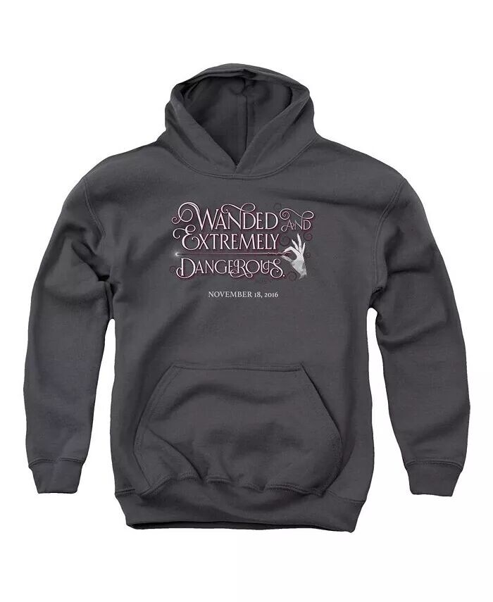 

Толстовка с капюшоном Wanded Pull Over Hoodie для мальчиков и подростков Fantastic Beasts, серый