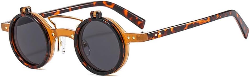 

Популярные модные маленькие круглые панк-солнцезащитные очки с двойной перемычкой для женщин, ретро-очки с откидными линзами, защита от УФ-излучения UV400, мужские солнцезащитные очки с заклепками TKKTLLT, Tea Leopard Grey