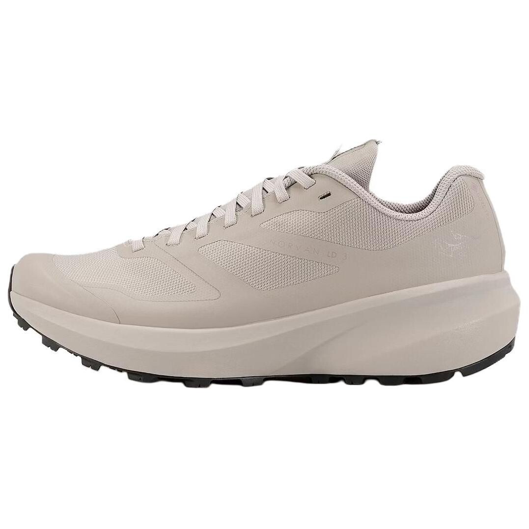 

Кроссовки женские Norvan LD3 GTX Low-Top серый Arcteryx
