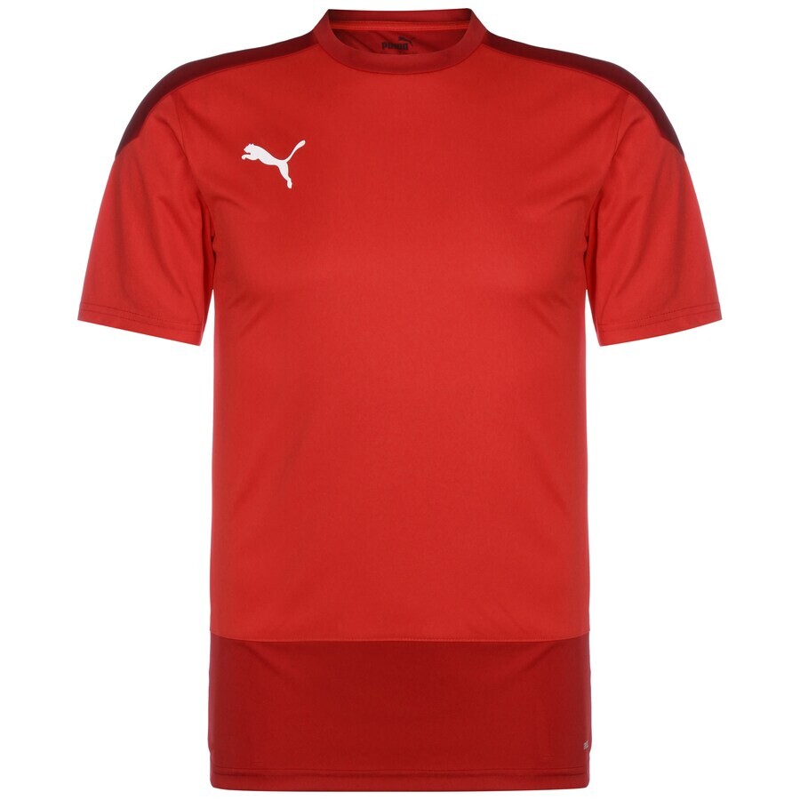 

Спортивная футболка PUMA Performance Shirt TeamGoal 23, цвет red/carmine red/dark red