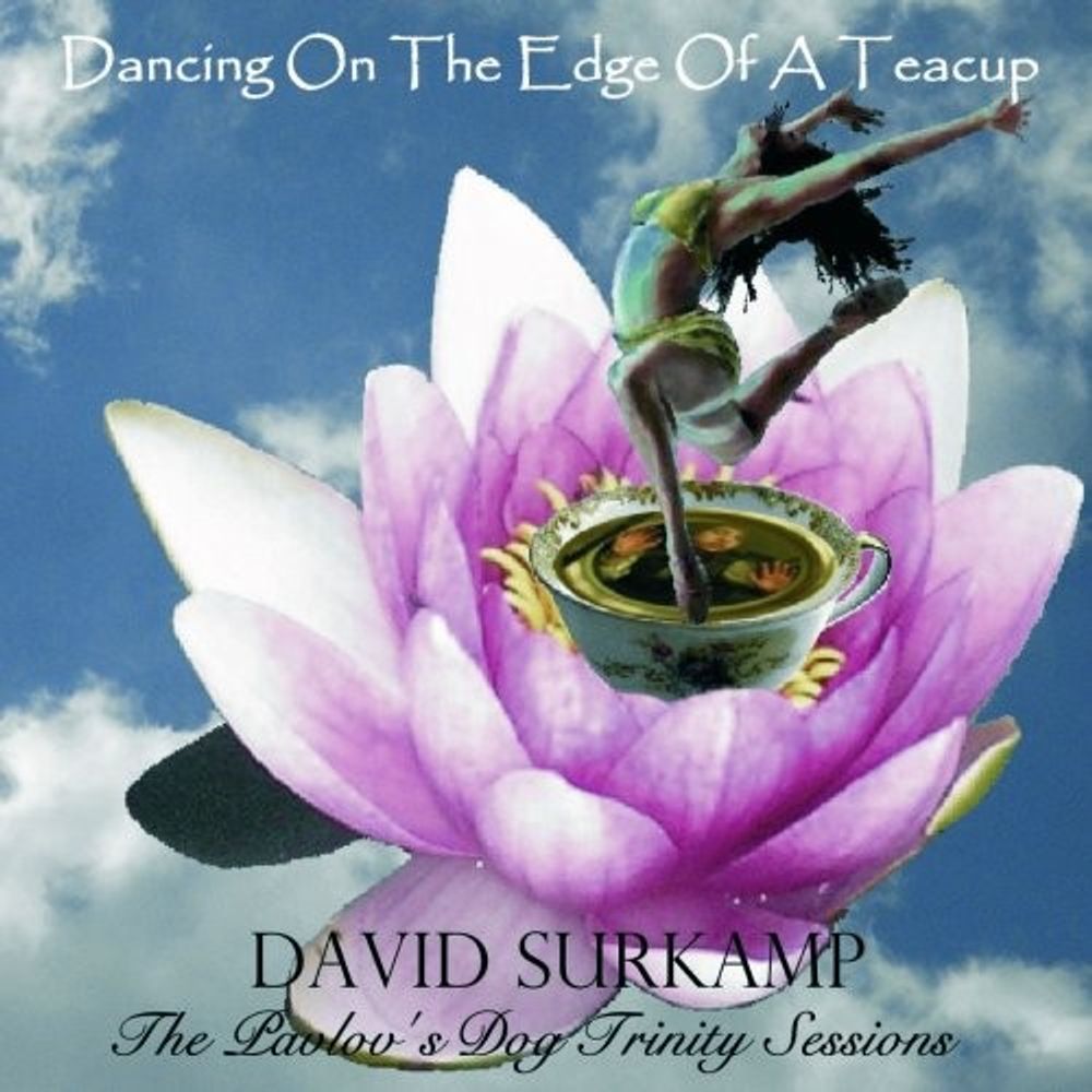 

Диск CD Dancing On The Edge Of A Teacu - David Surkamp