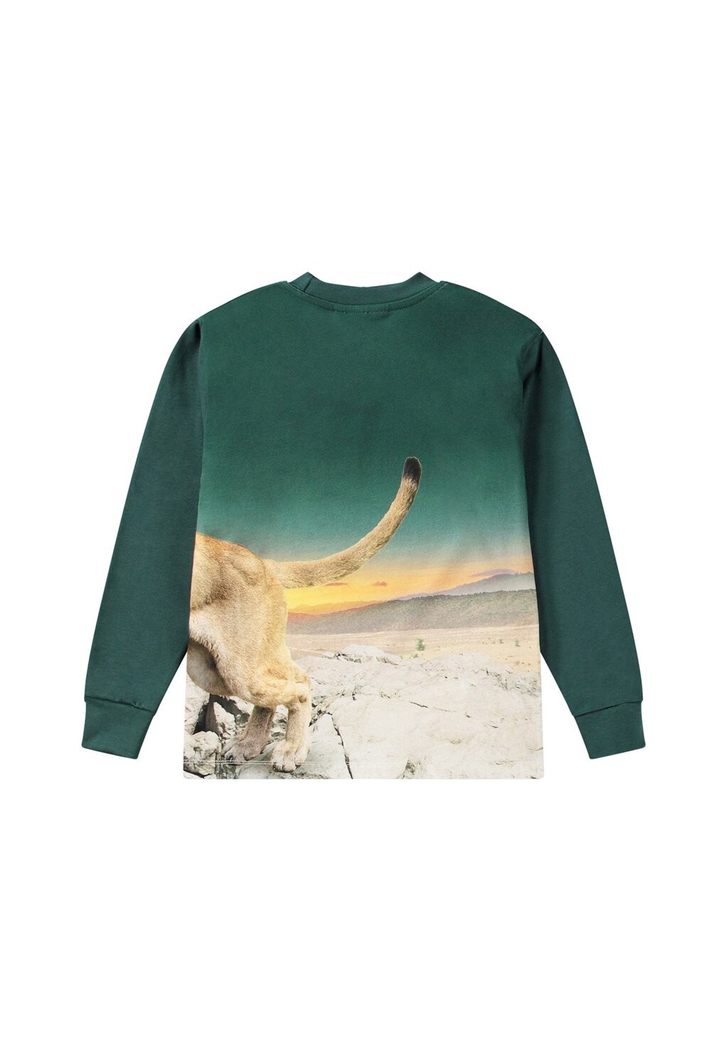 

Рубашка с длинным рукавом REXTON LONG SLEEVES Molo, темно-зеленый