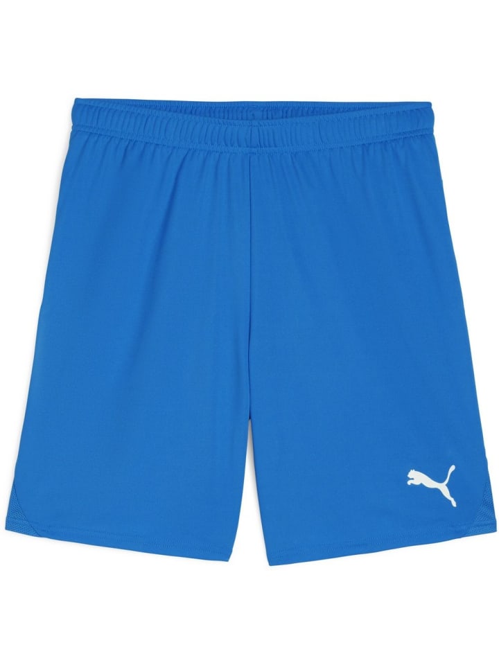 

Спортивные шорты TeamGoal Shorts синего цвета Puma