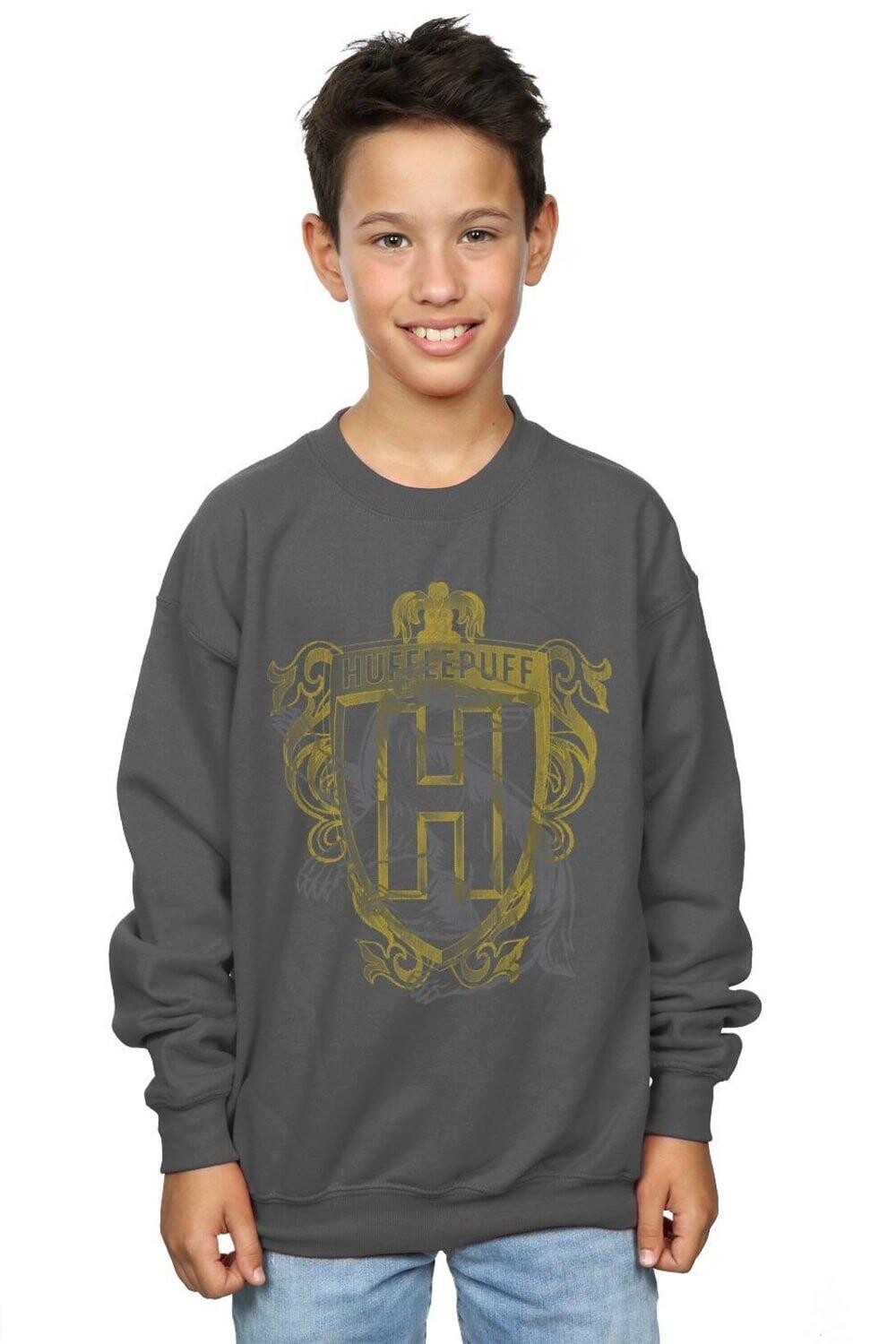 

Толстовка с гербом «Хаффлпафф Барсук» Harry Potter, серый