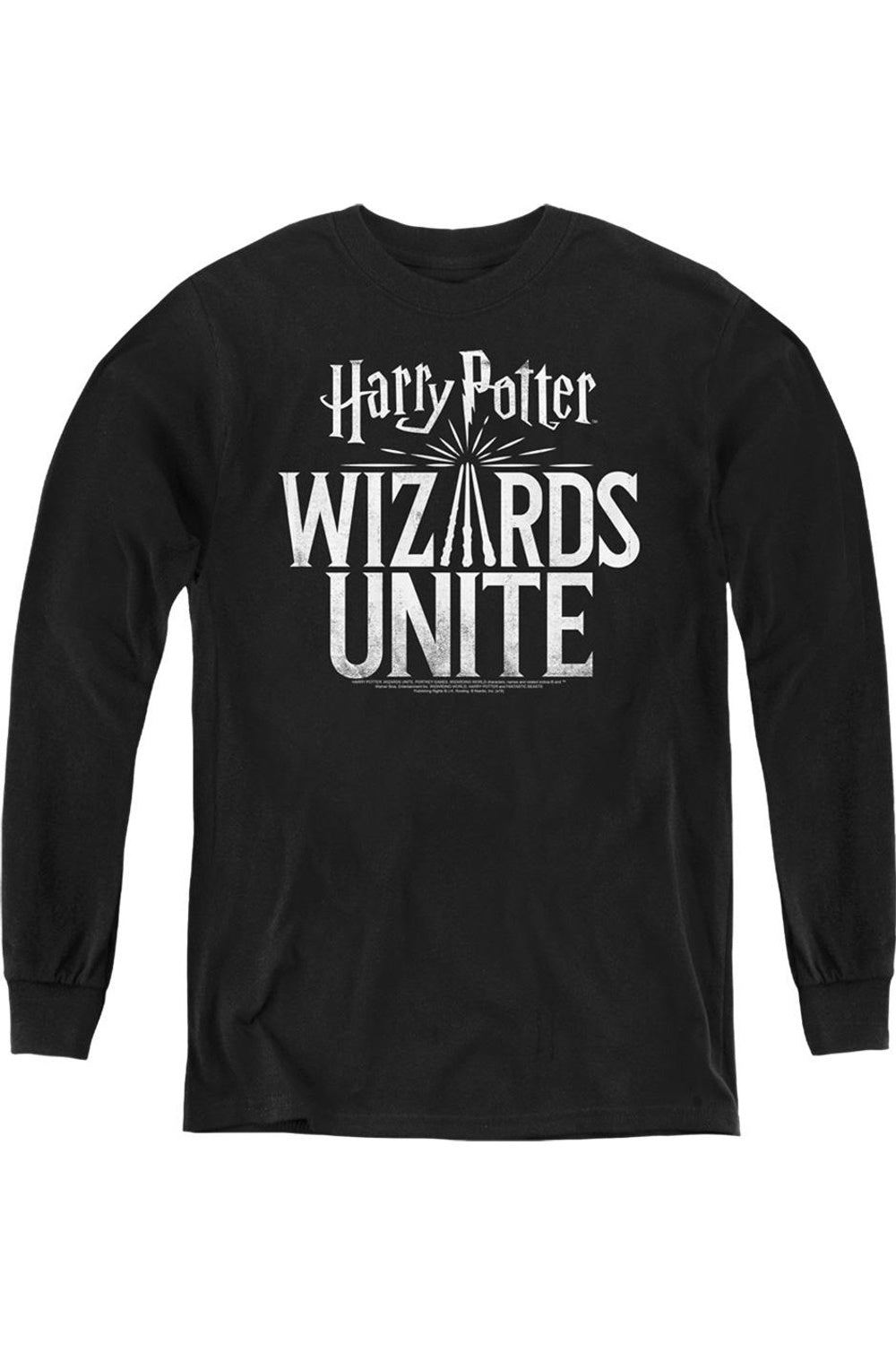 

Молодежная толстовка с длинным рукавом Harry Potter Wizards Unite с логотипом Wizards Unite Gildan, черный