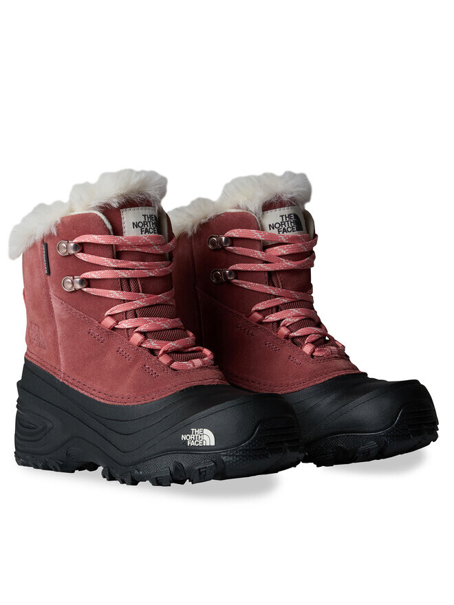 Зимние Ботинки The North Face Y Shellista V Lace Wp NF0A7W5X7I01-010, розовый — фото 2