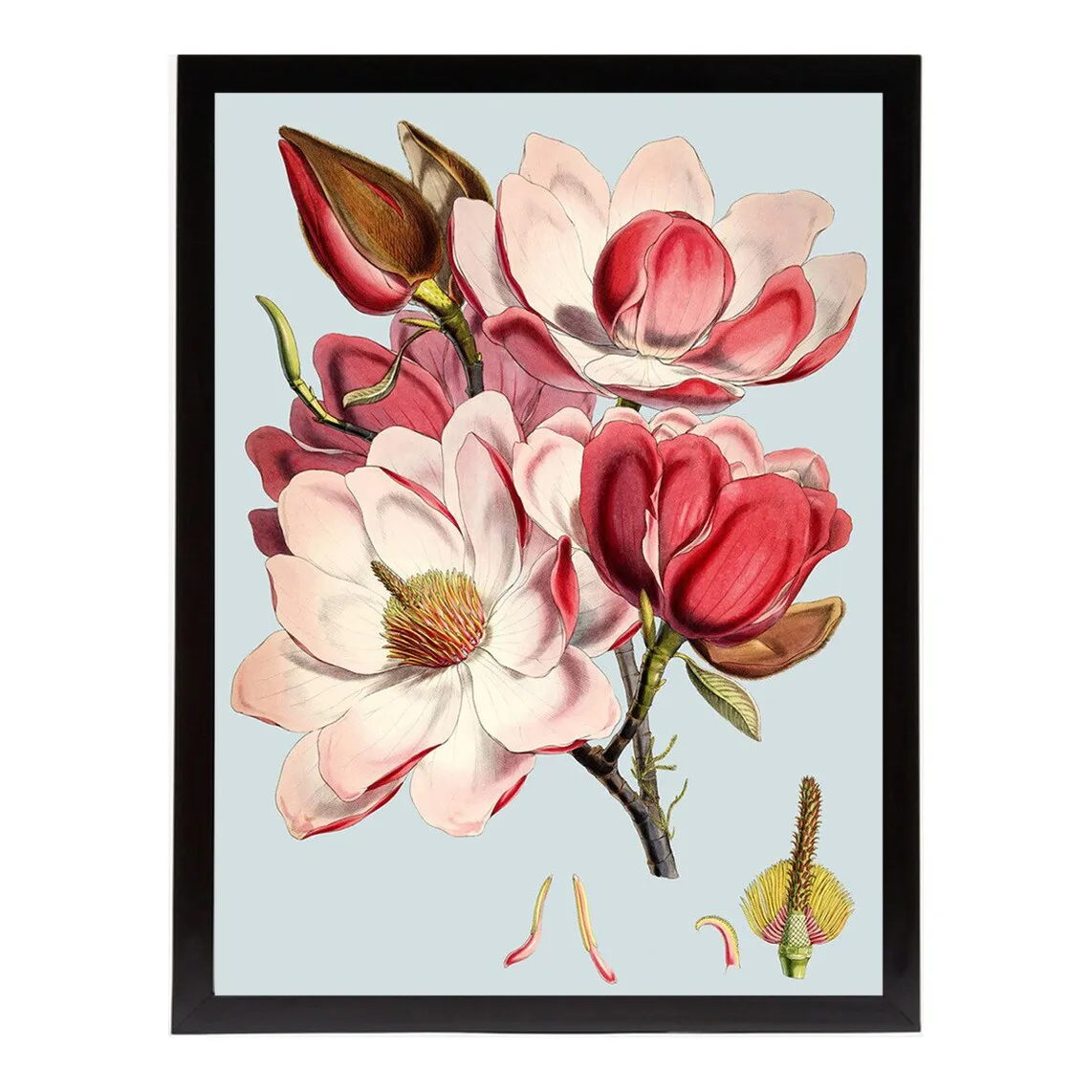 

Lam Peonies Flowers Print PSTR Studio + Marco Thor El Corte Inglés