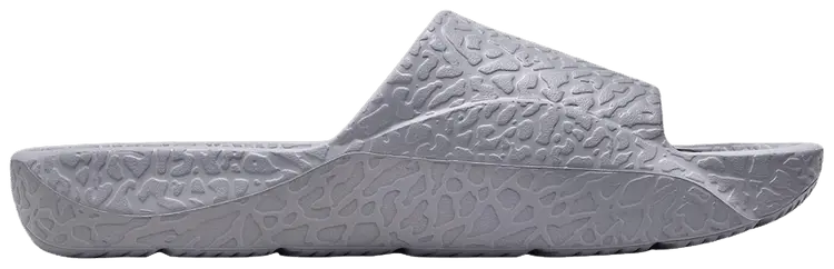 

Шлепанцы для душа Air Jordan Franchise, серый