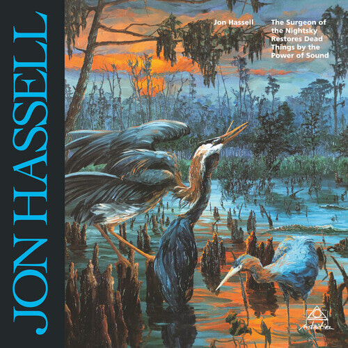 

Виниловая пластинка Hassell, Jon: Surgeon Of The Nightsky Restores Dead Things By The Power Of Sound