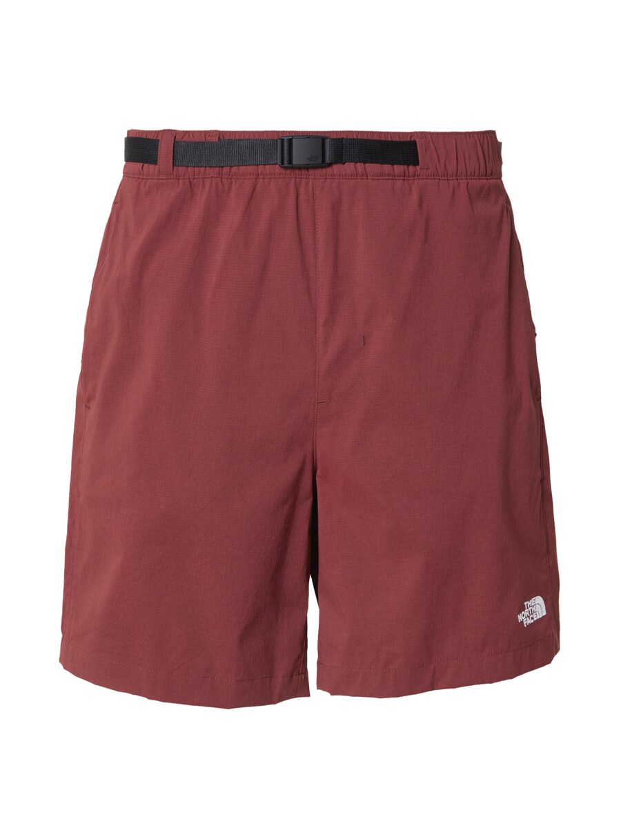 

Брюки THE NORTH FACE CLASS V PATHFINDER, цвет Cherry red