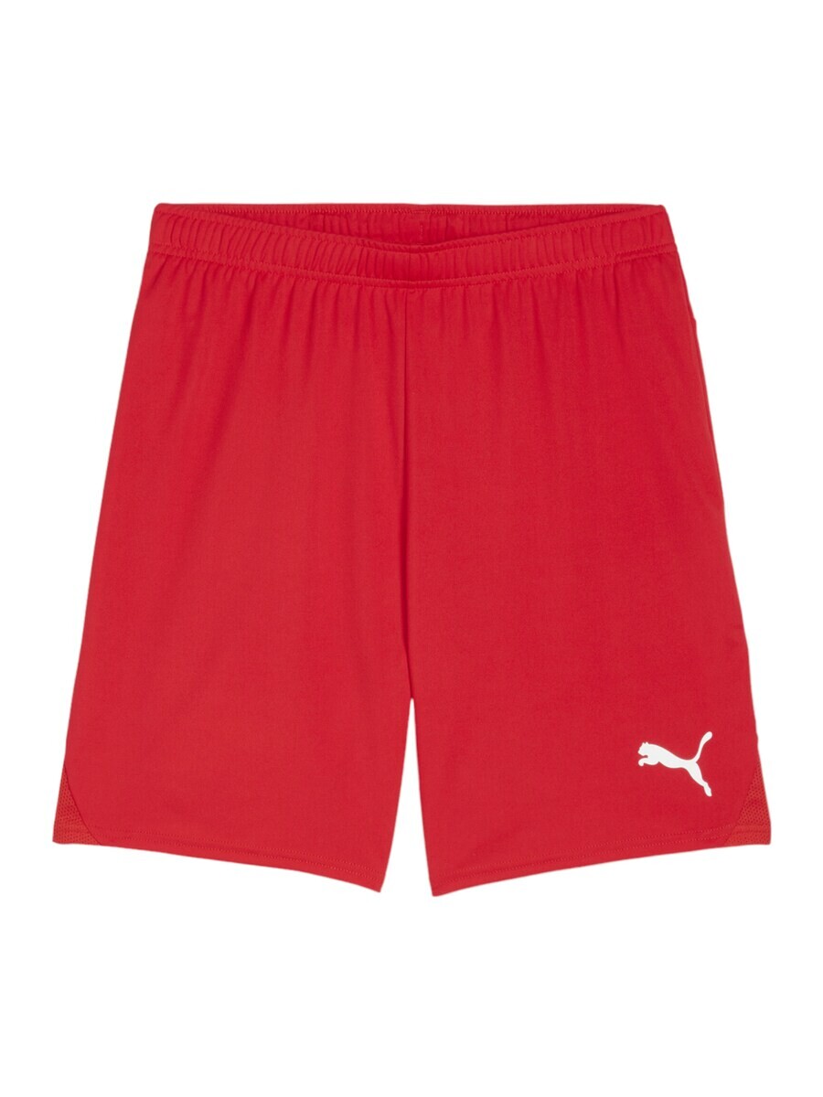 

Спортивные брюки PUMA Regular Workout Pants, красный