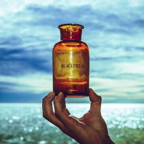 

Виниловая пластинка Blackfield - Blackfield V