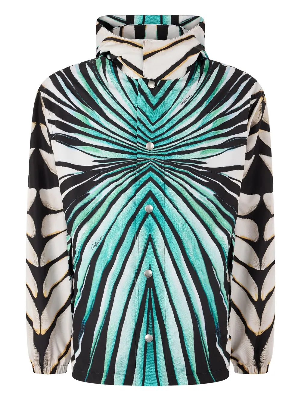 

Куртка с принтом Ray Of Sea Roberto Cavalli, синий