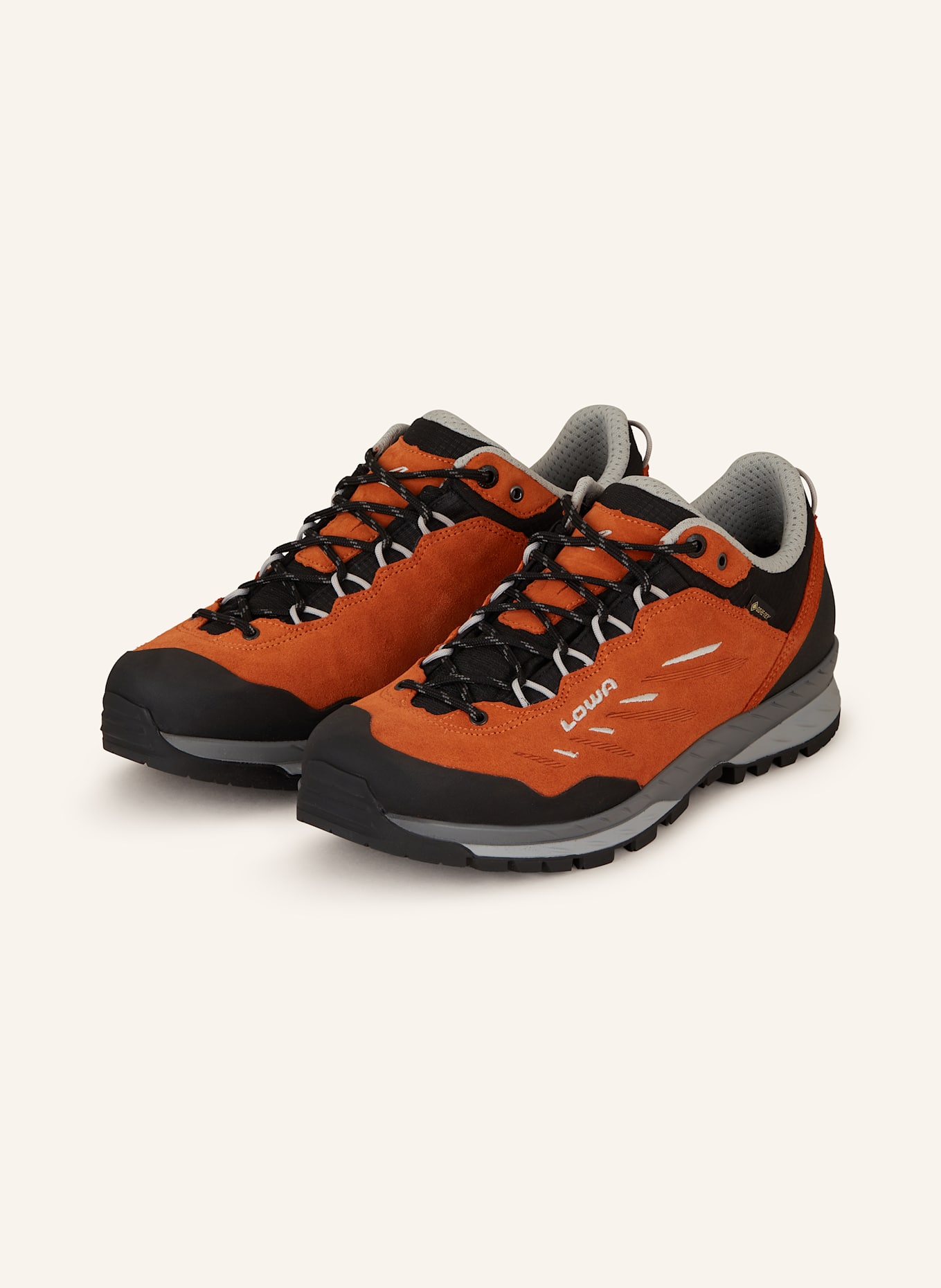 

Ботинки для походов Delago GTX Lo Lowa, мультиколор