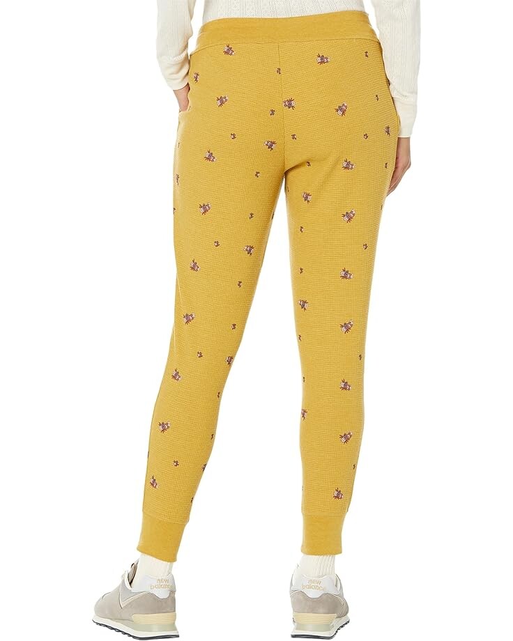 

Брюки Toad&Co Foothill Joggers, цвет Antler Motif Print