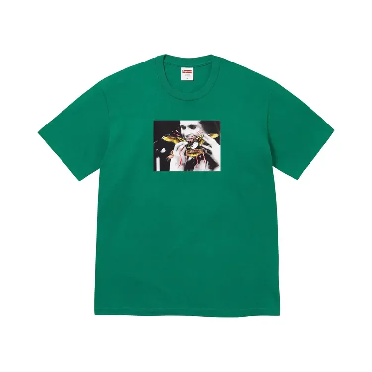 Футболка Supreme x Antihero Ozzy 'Light Pine', зеленый