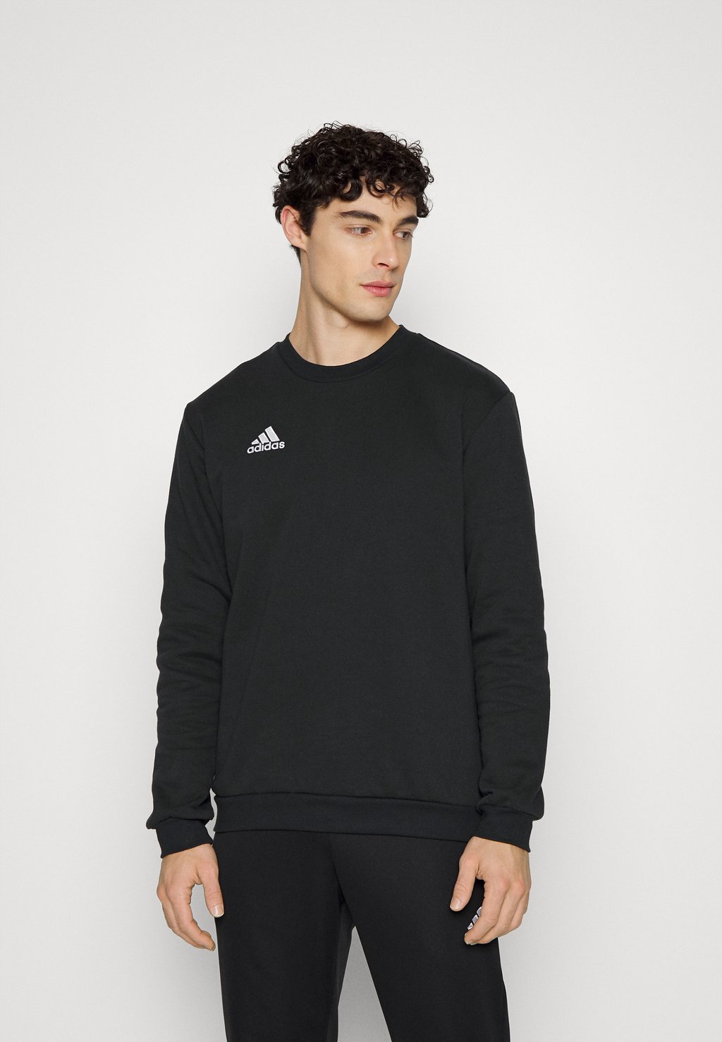 

Толстовка Adidas ENTRADA, цвет Black, Черный, Толстовка Adidas ENTRADA, цвет Black