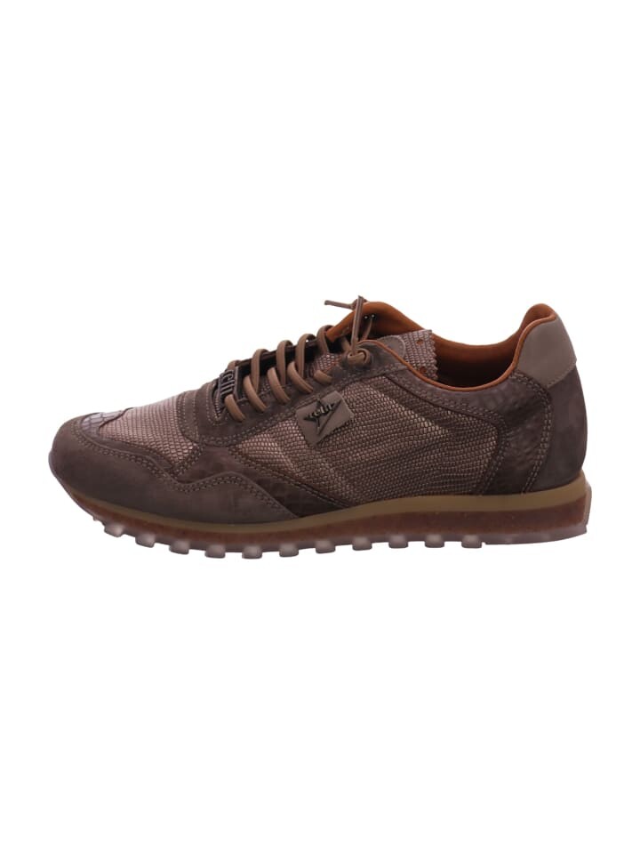

Низкие кроссовки Cetti Low, коричневый