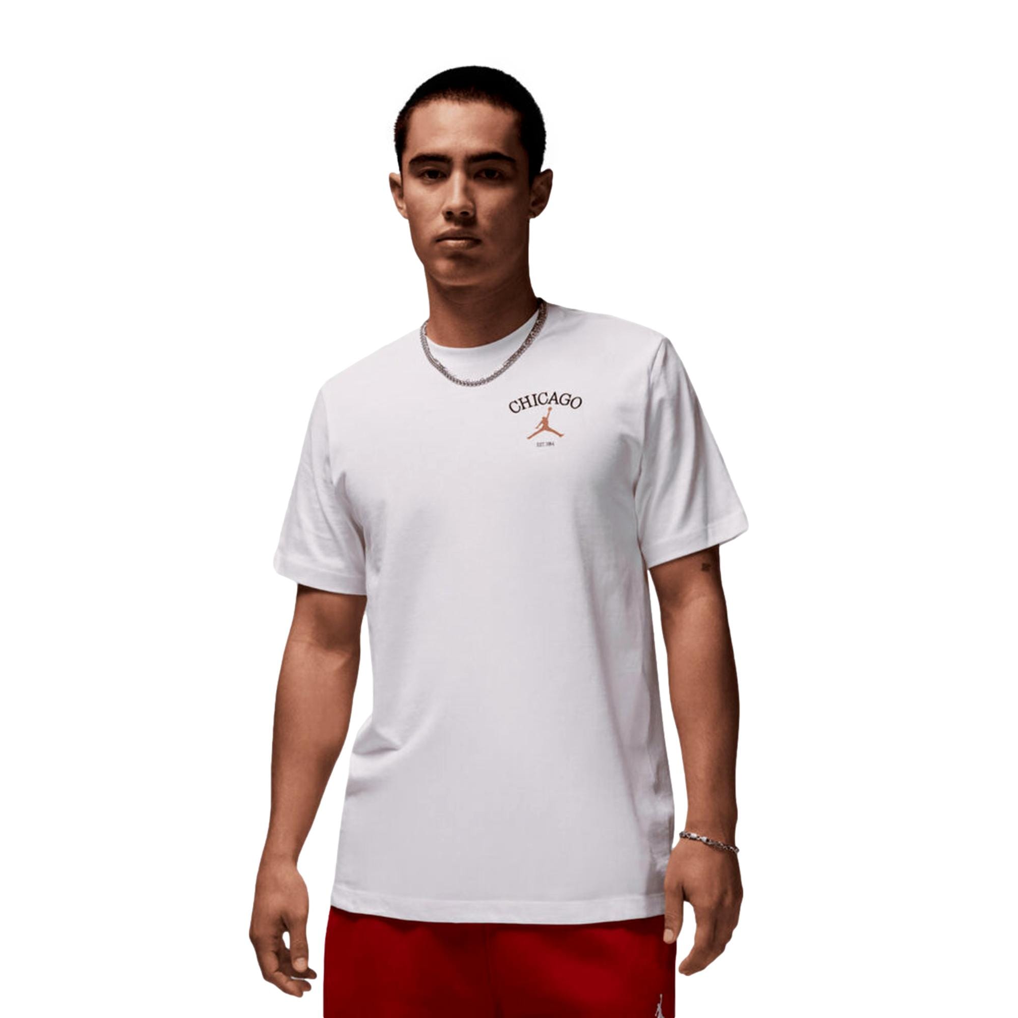 

Футболка Nike Jordan Chi City белая HF1155-100 мужская