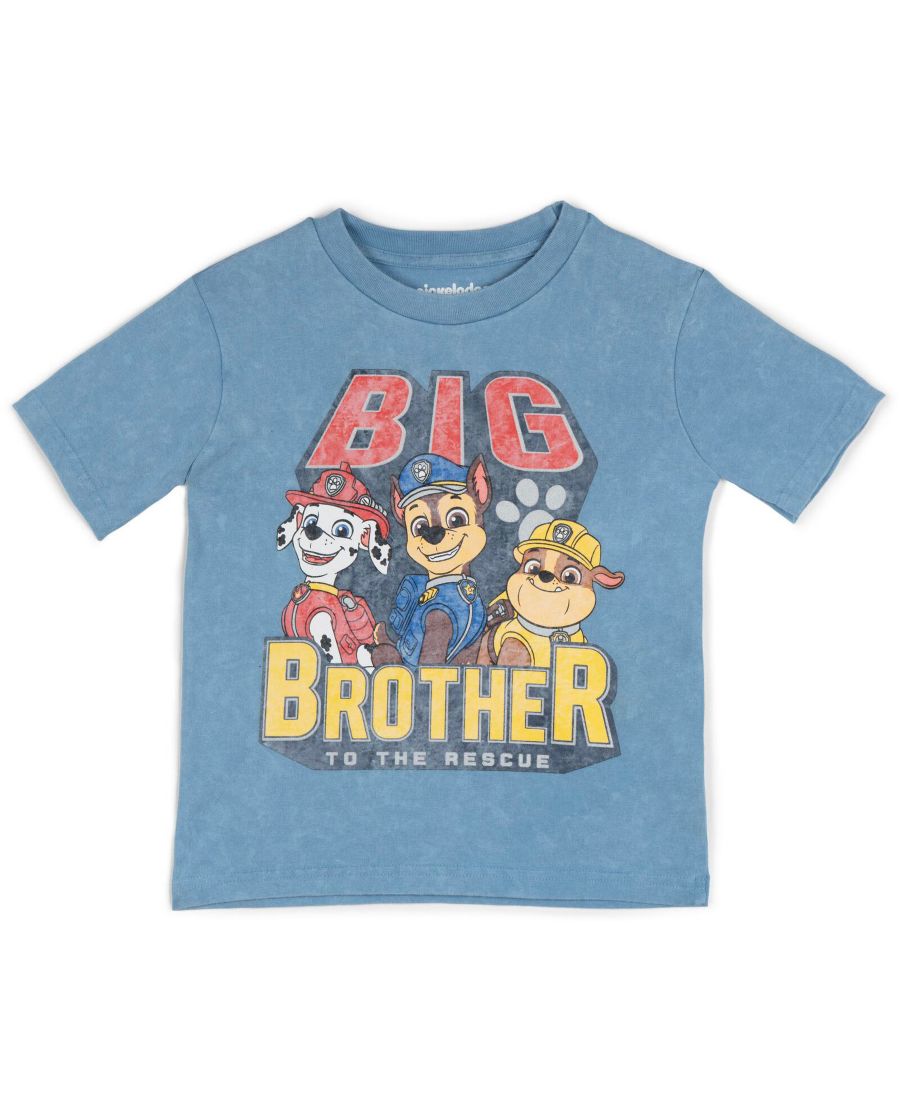 

Детская футболка Paw Patrol, Pale blue, big brother, Синий, Детская футболка Paw Patrol, Pale blue, big brother