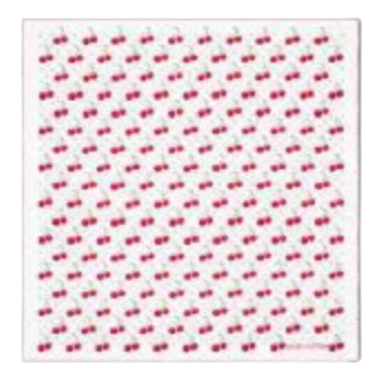 

LOUIS VUITTON Шаль Takashi Murakami Monogram Cherry, White