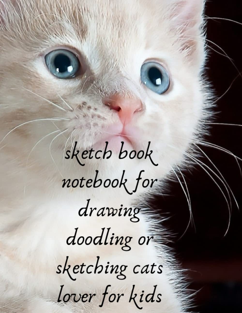 

Sketch book notebook for drawing doodling or sketching cats for kids.: 8.5x11 inch 21.5x27.94 cm drawing notebook (Independently published)