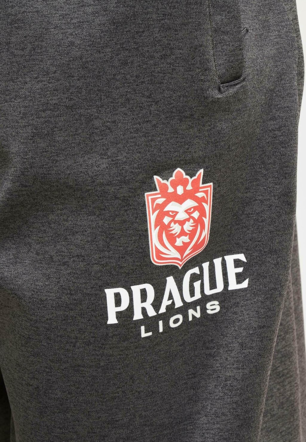 

Спортивные брюки EUROPEAN LEAGUE PRAGUE LIONS DEF, антрацит