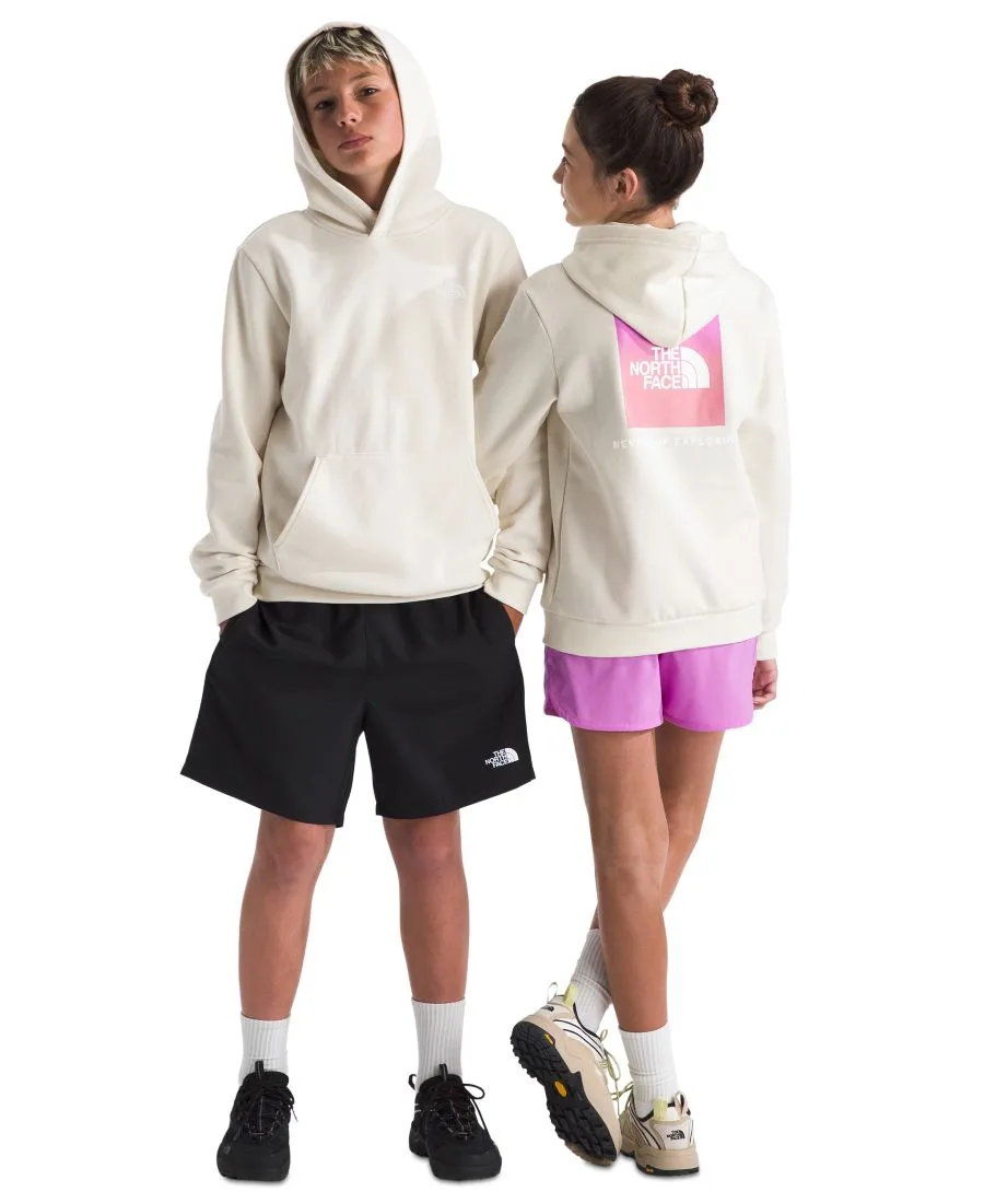 Толстовка Evolution Box NSE Pull-On для девочек и мальчиков 7-16 лет The North Face, белый dune