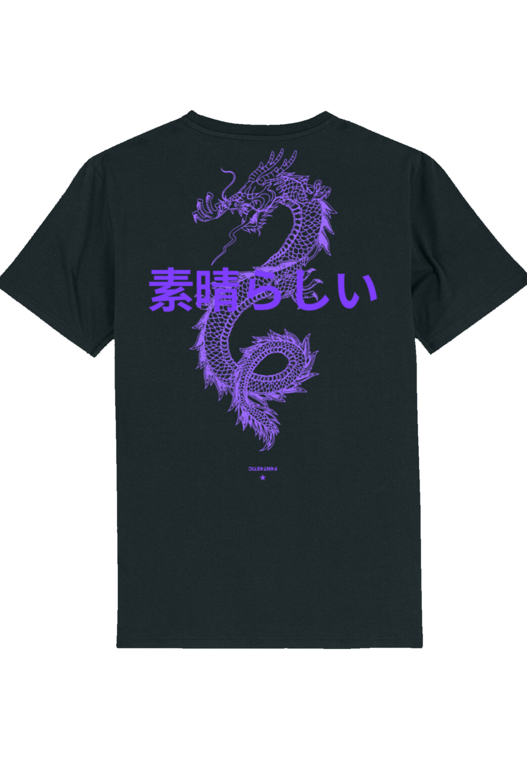 

Футболка F4NT4STIC Drache Japan Style, черный