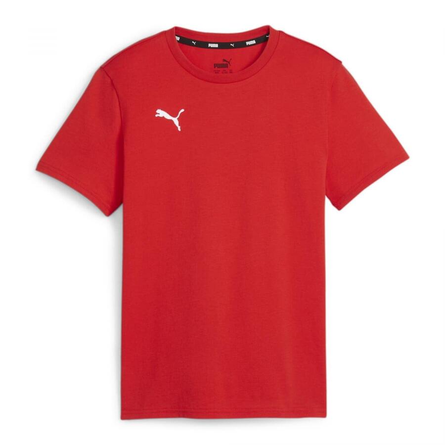 

Детская футболка Puma teamGOAL Casuals Tee Jr 658616