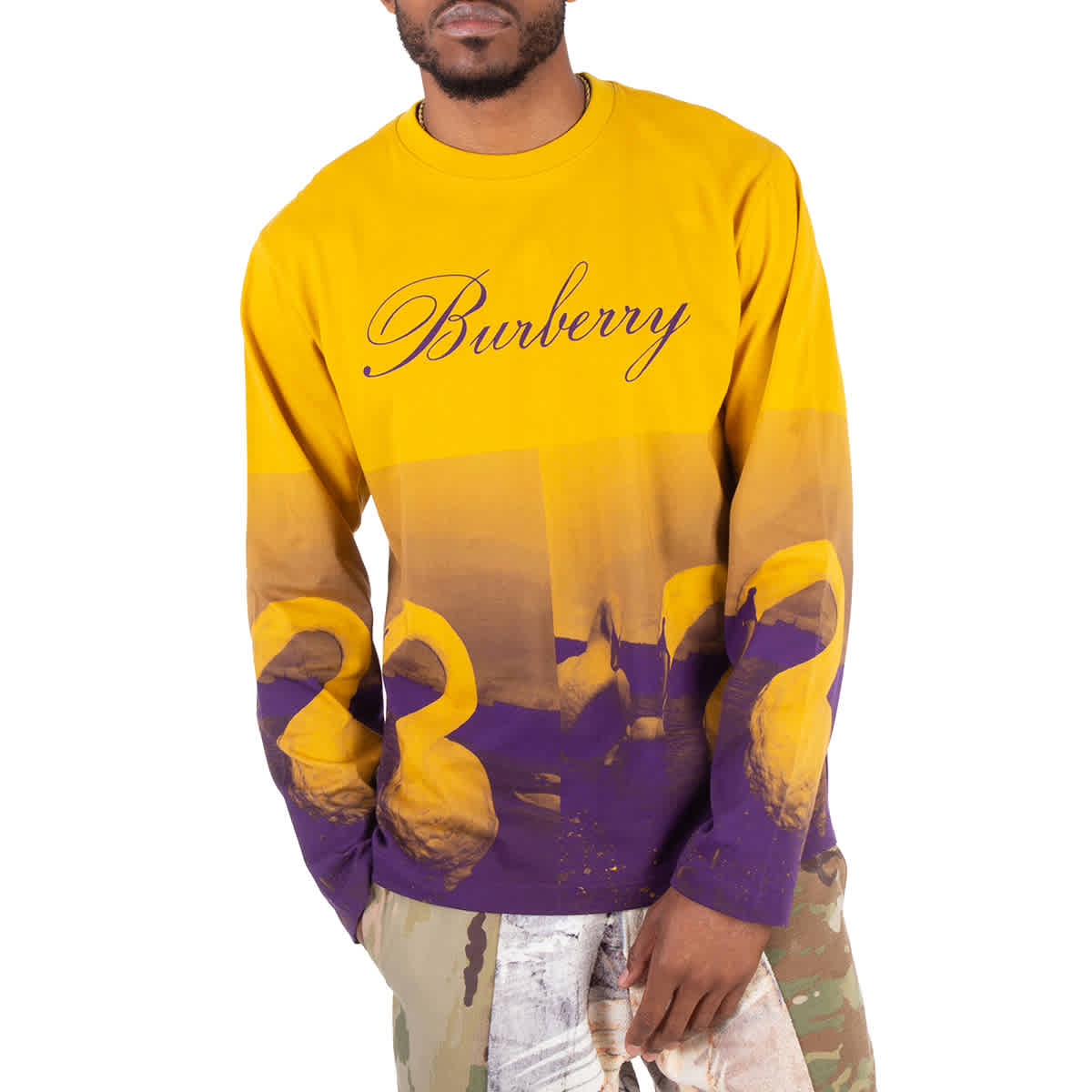 

Футболка с длинным рукавом и принтом лебедя Burberry, Pear Ip Pattern