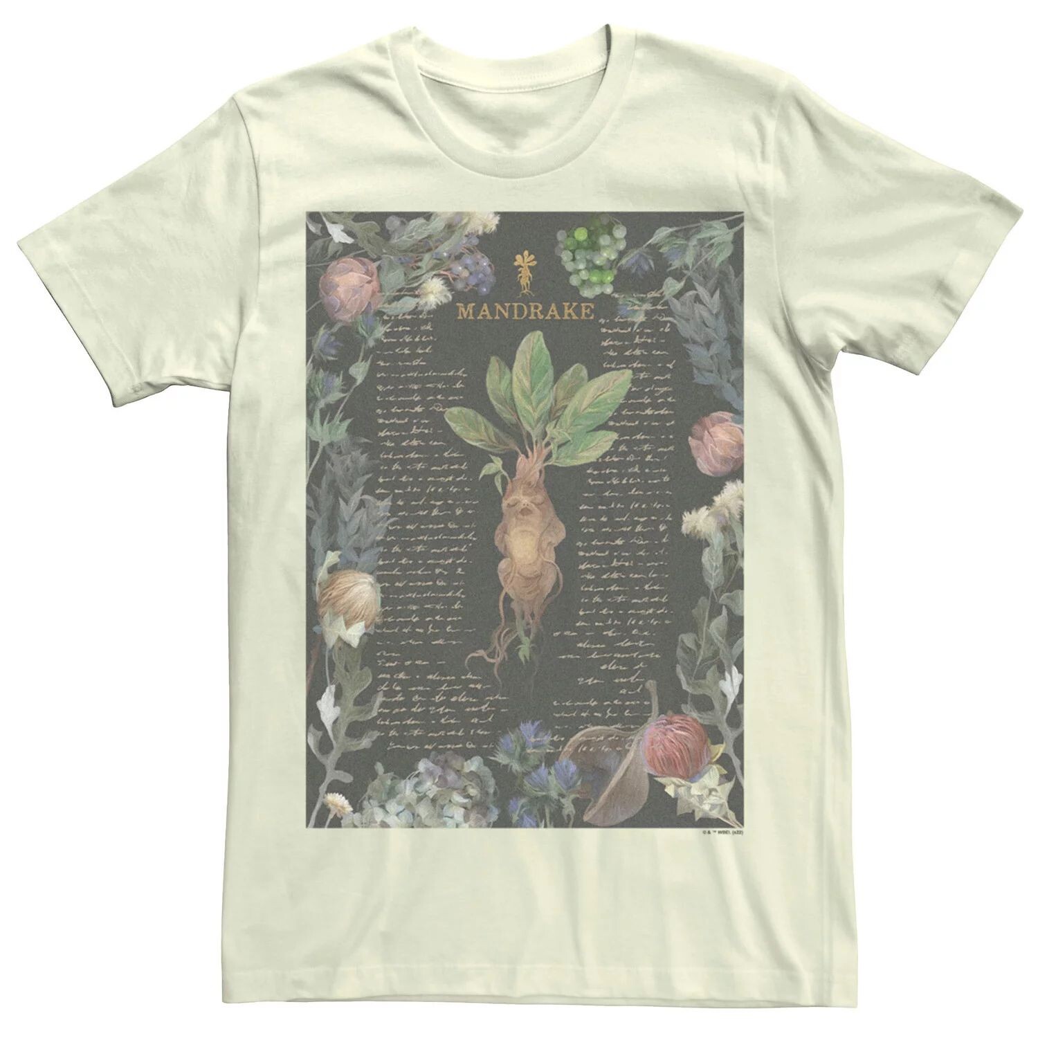 

Мужская футболка Harry Potter Deathly Hallows 2 Mandrake Licensed Character